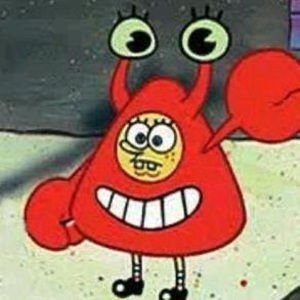 Meet your Posher, Chicken